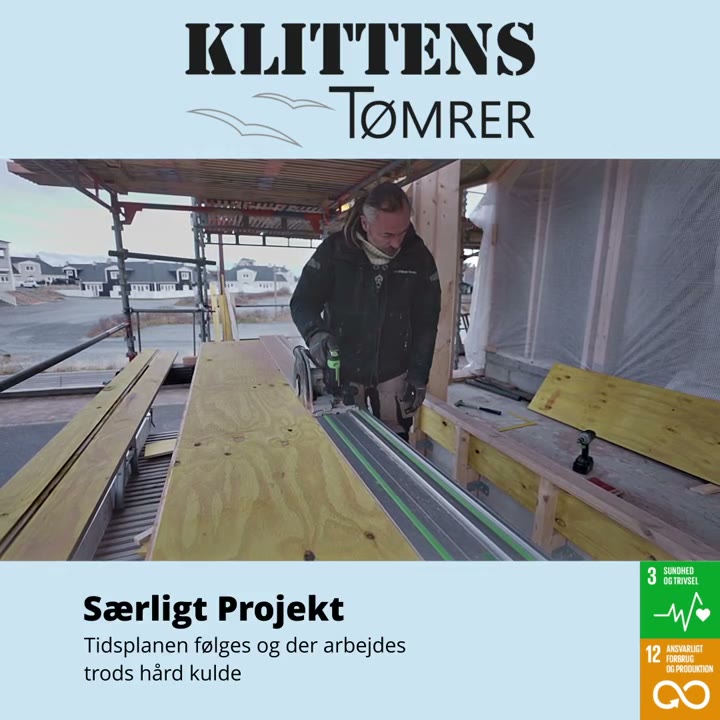 Særligt Projekt